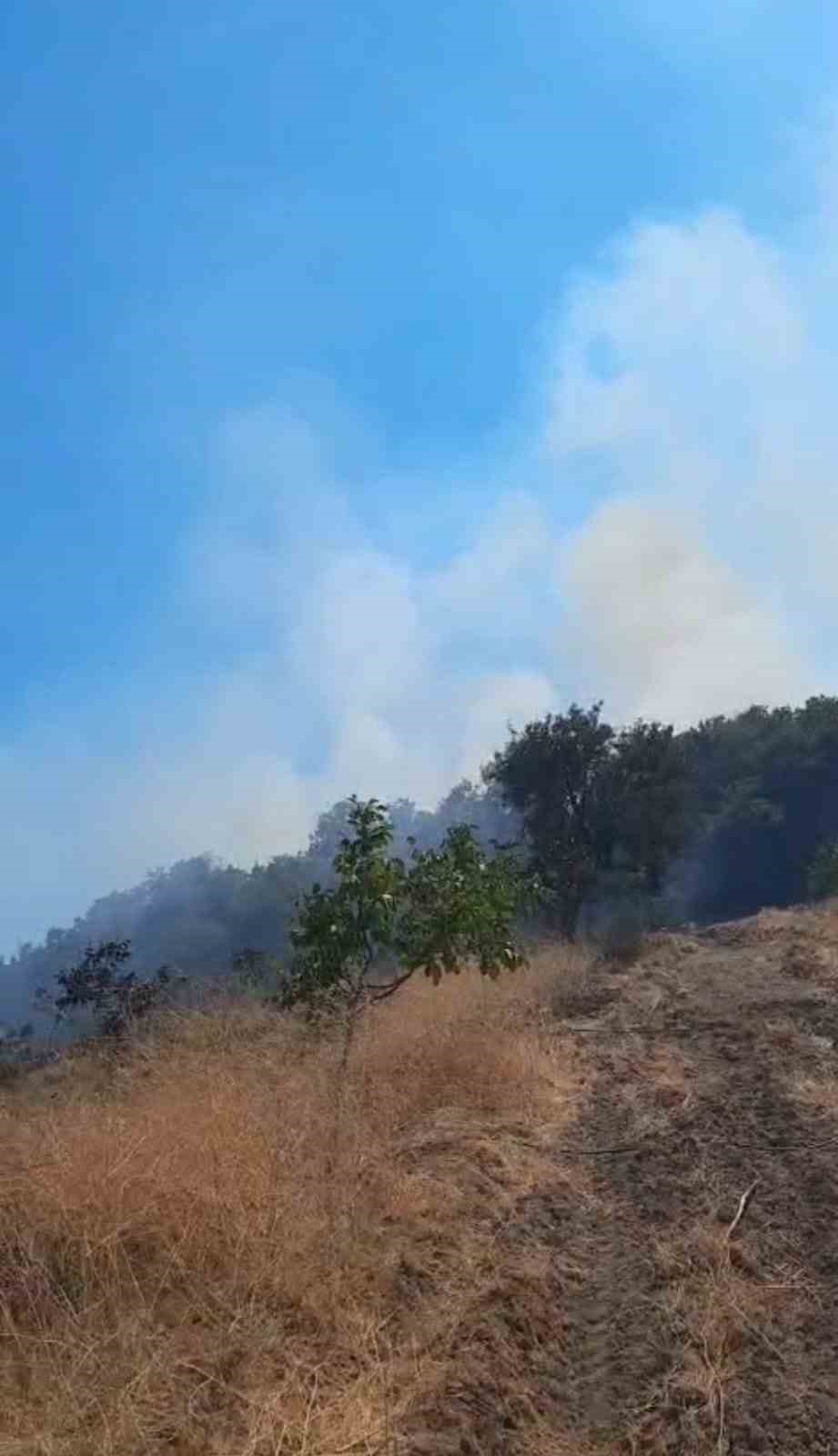 G&ouml;nen&rsquo;de ormanlık alanda &ccedil;ıkan yangın s&ouml;nd&uuml;r&uuml;ld&uuml;
