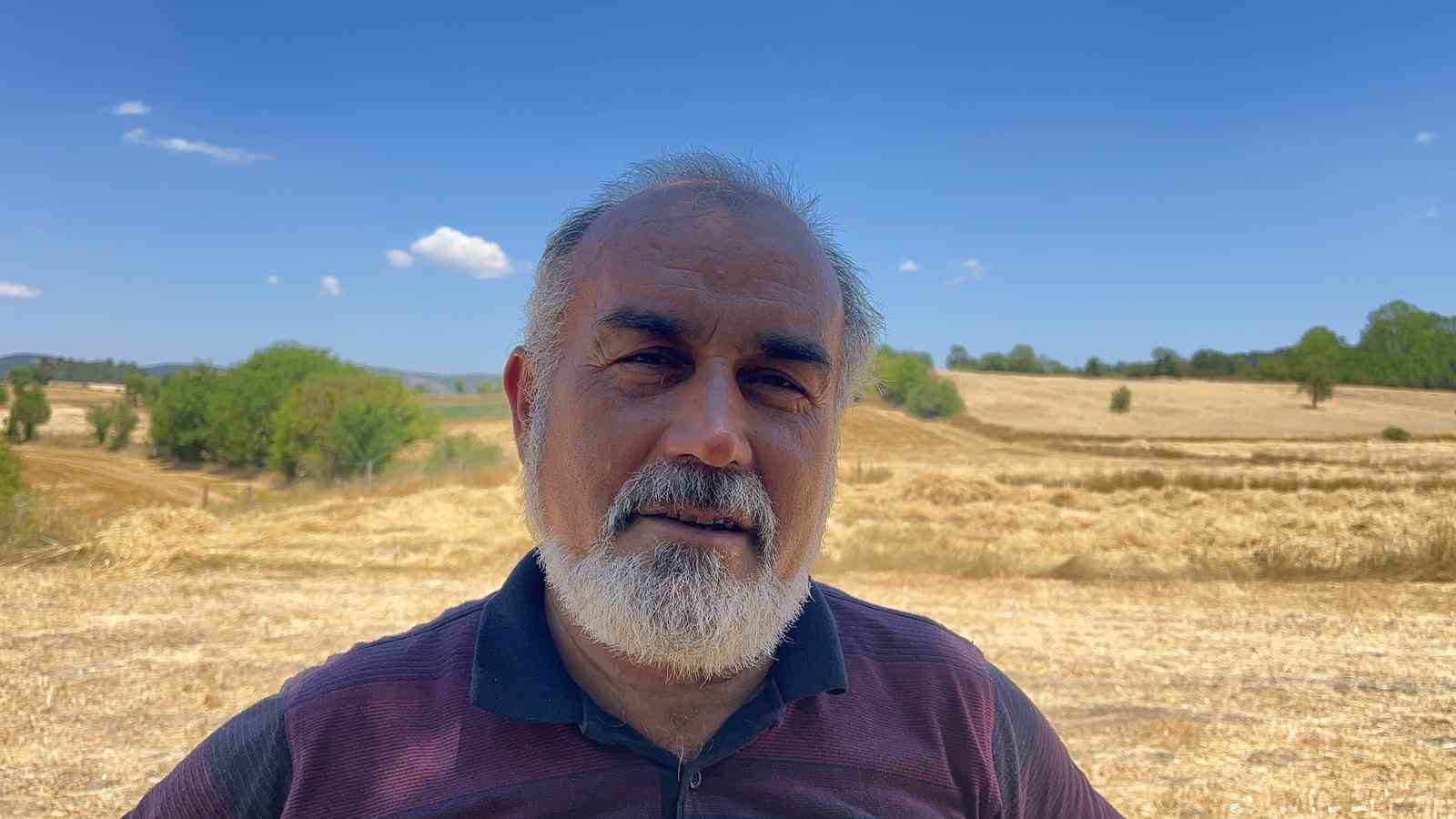 Buğdayın atası ‘siyez’de hasat dönemi başladı
