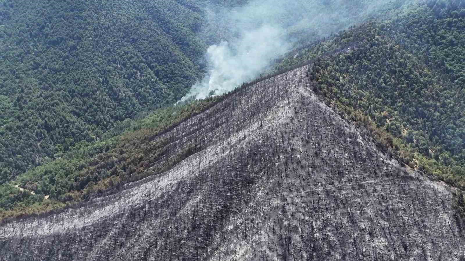 Orman yangınında zarar gören alanlar havadan görüntülendi
