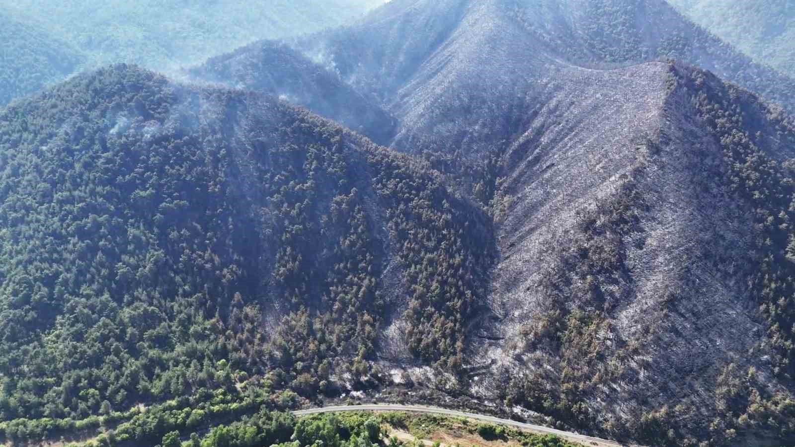 Orman yangınında zarar g&ouml;ren alanlar havadan g&ouml;r&uuml;nt&uuml;lendi
