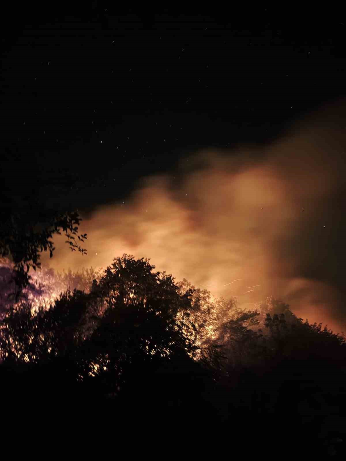 Ormanlık alanda yangın: Ekipler ve vatandaşlar alevleri 3 saatte s&ouml;nd&uuml;rd&uuml;
