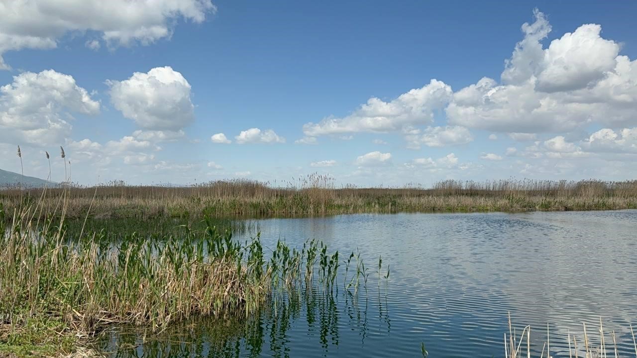 G&ouml;ldeki su &ccedil;ekilmesinin il&ccedil;eyi 1 metre &ccedil;&ouml;kerttiği bilimsel olarak kanıtlandı
