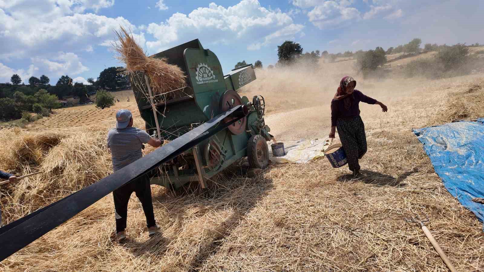 Demirci&rsquo;de buğday ve arpalar imece usul&uuml;yle hasat ediliyor
