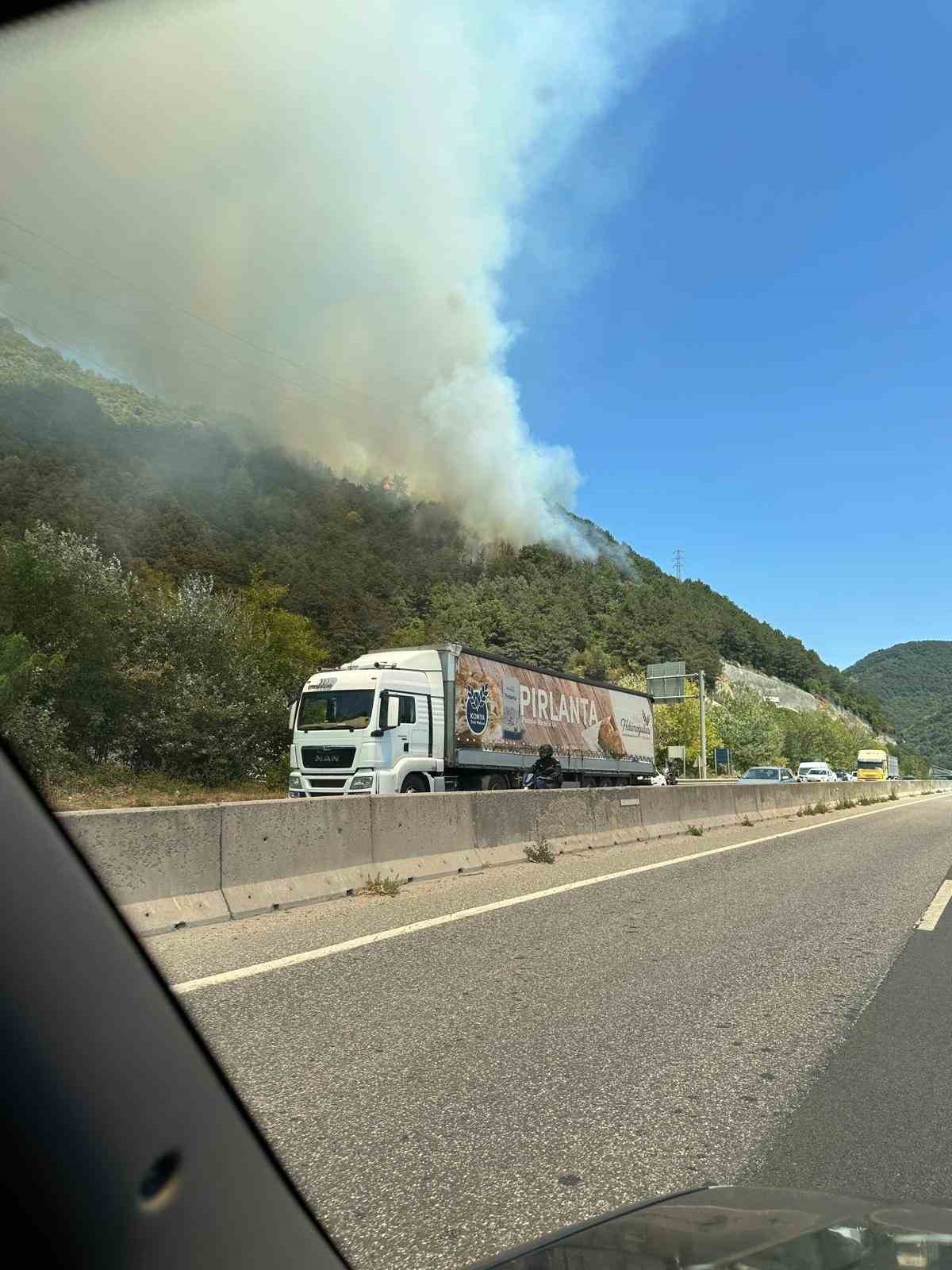Geyve&rsquo;de ikinci orman yangını &ccedil;ıktı
