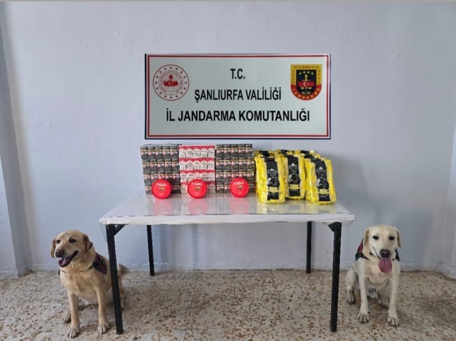 Şanlıurfa’da 3 bin paket kaçak sigara ele geçirildi