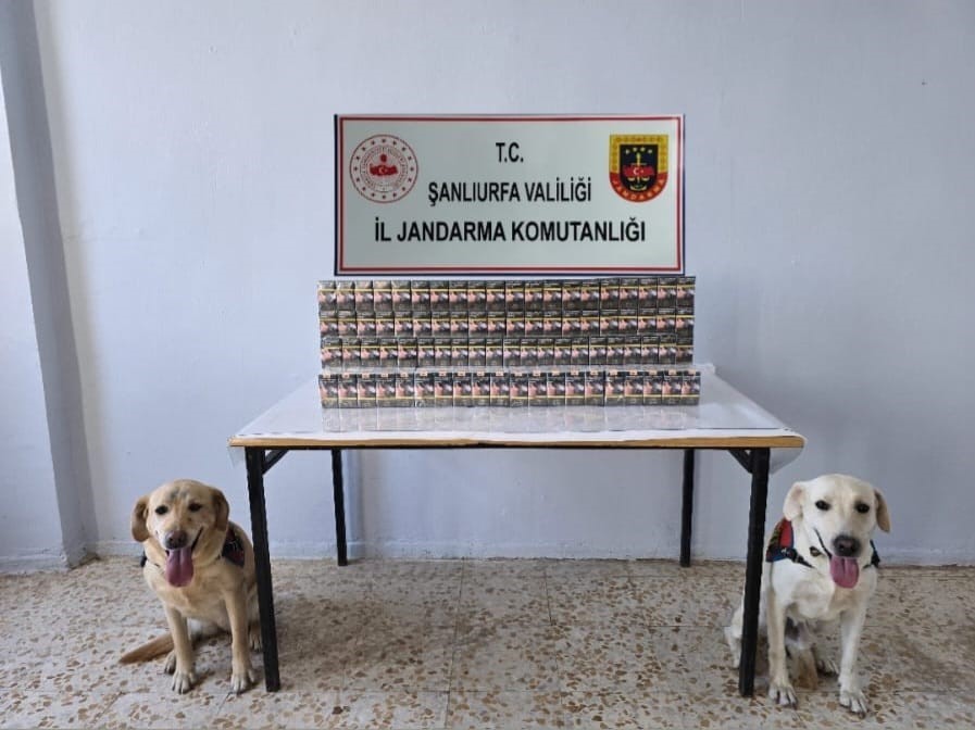 Şanlıurfa&rsquo;da 3 bin paket ka&ccedil;ak sigara ele ge&ccedil;irildi
