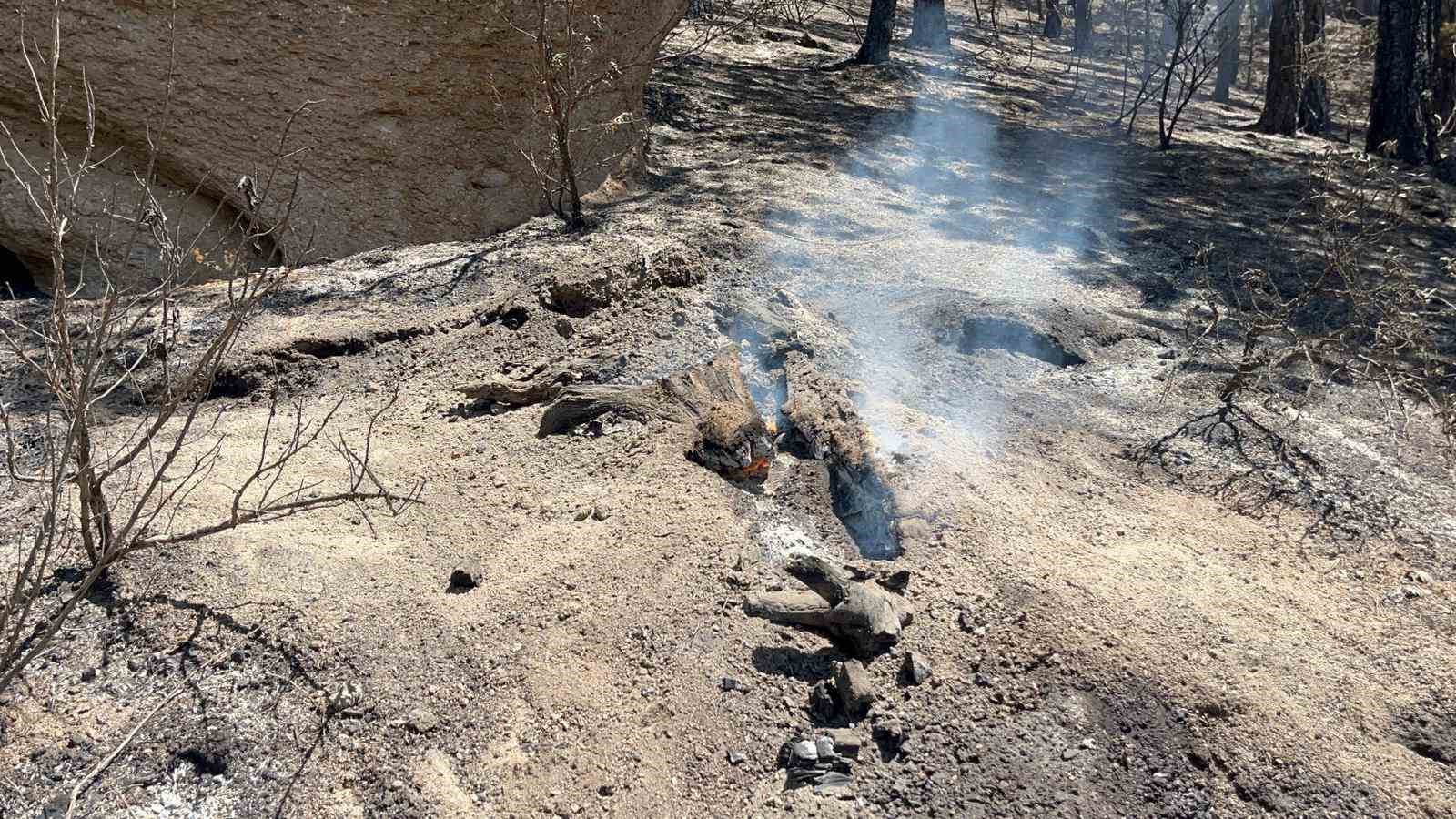 Yangının kontrol altına alındığı ormandan geriye kül yığını kaldı