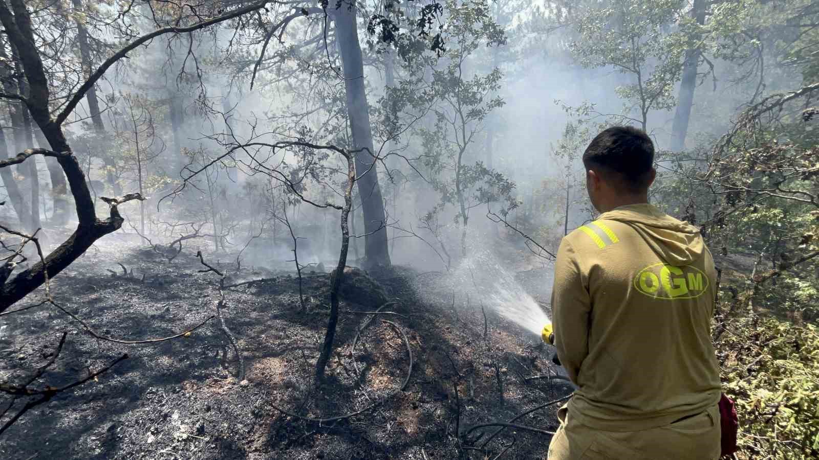 Eskişehir’deki yangının 30’uncu saatinde kontrol altına alın bazı bölgelerde yeniden alevler yükseldi