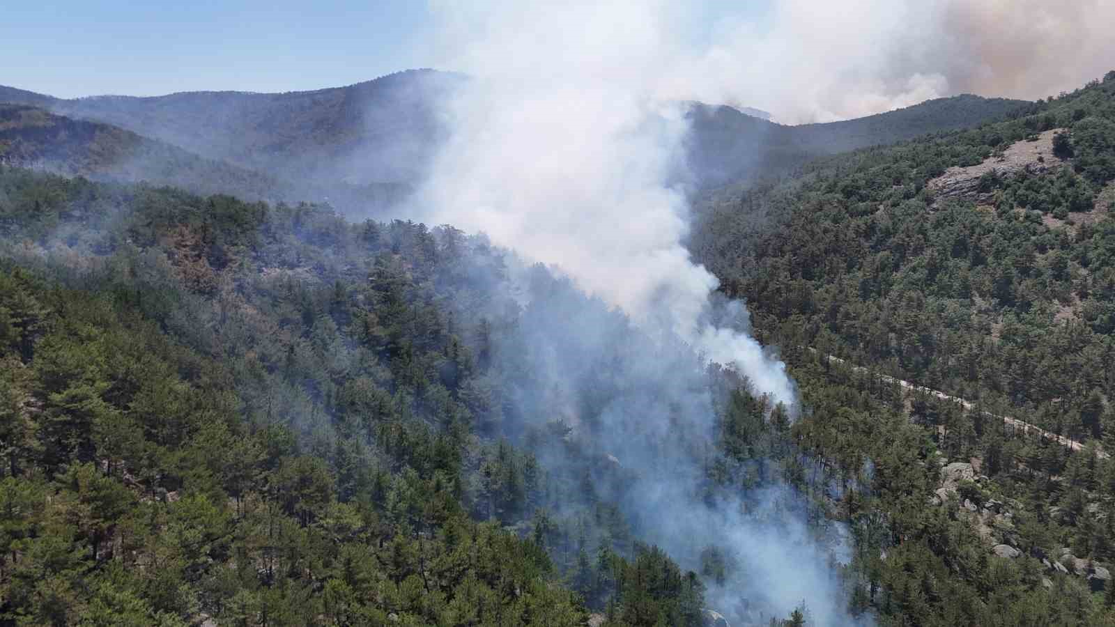 Eskişehir&rsquo;deki yangının 30&rsquo;uncu saatinde kontrol altına alın bazı b&ouml;lgelerde yeniden alevler y&uuml;kseldi
