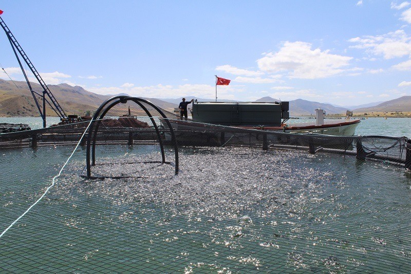 Erzincan’da kültür balıkçılığı yaygınlaşıyor