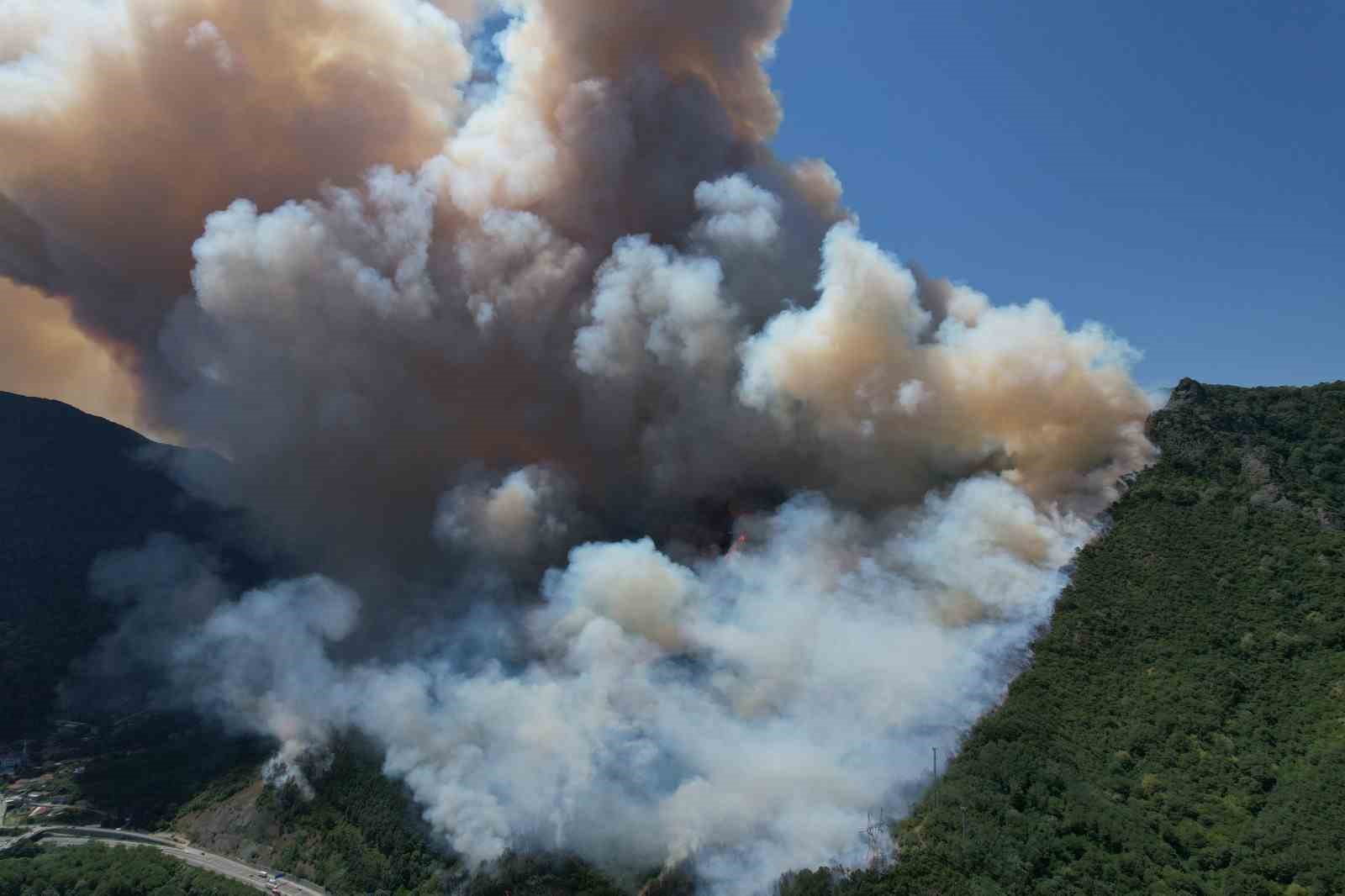 Sakarya’daki orman yangını havadan görüntülendi