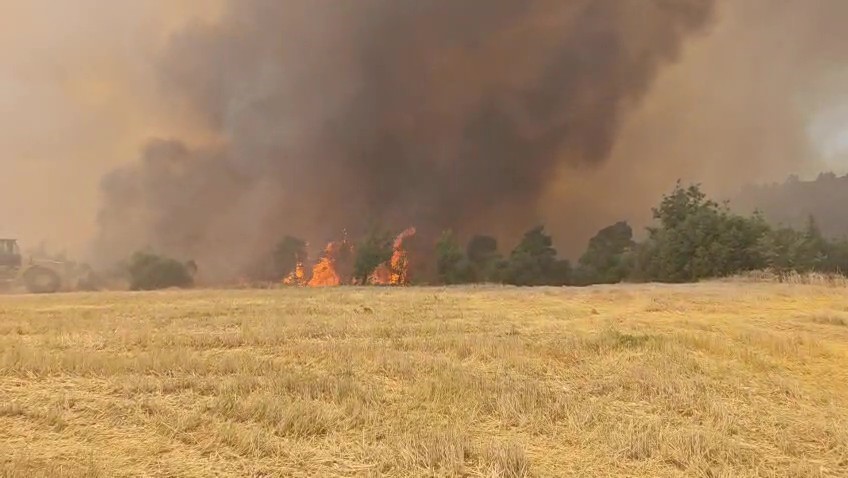 Denizli’de devam eden orman yangınına havadan ve karadan müdahale sürüyor