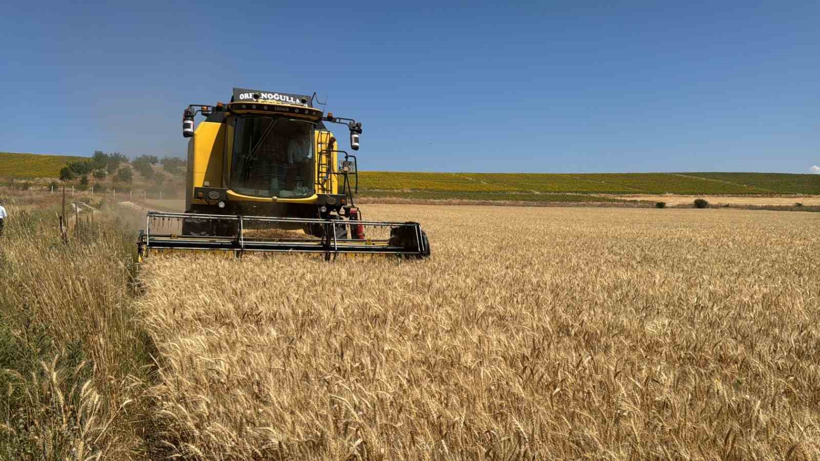 Çorum Belediyesi’nden 80 dönümlük buğday tarlasında hasat başladı