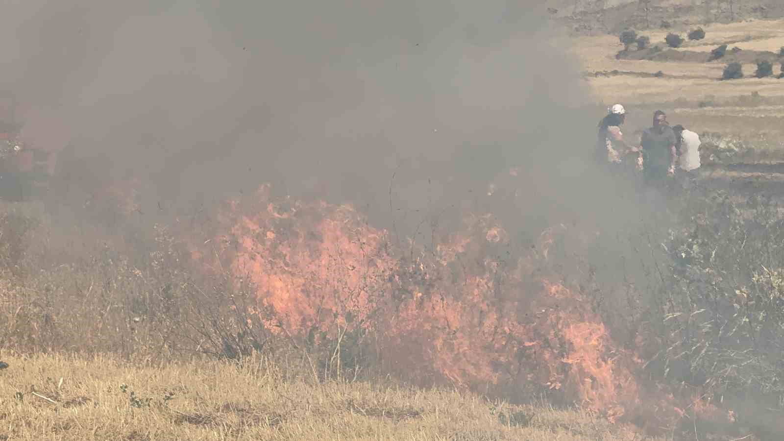 Tatvan’da örtü yangını