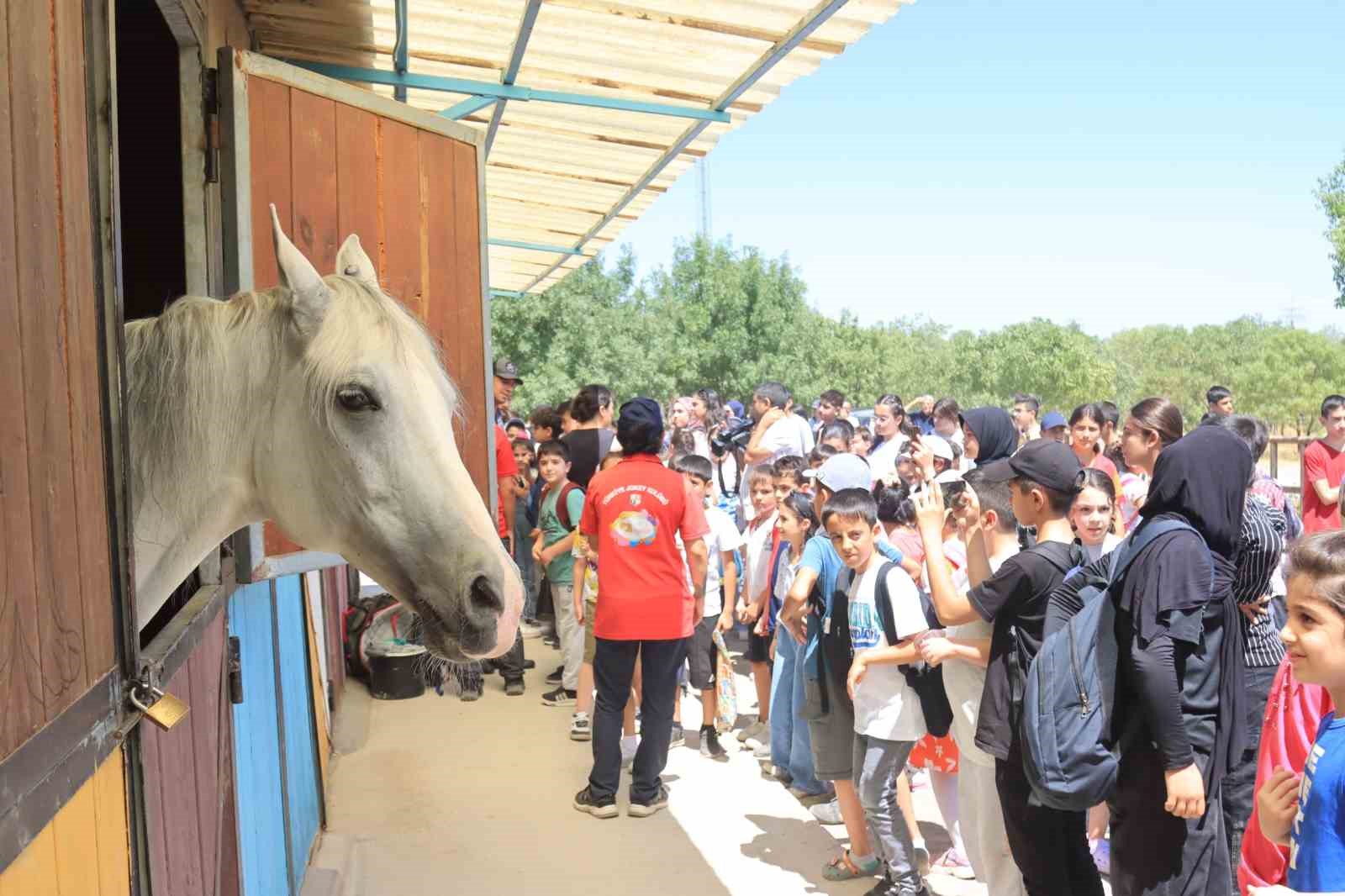 Elazığ&rsquo;da &ccedil;ocuklar doyasıya gezdi

