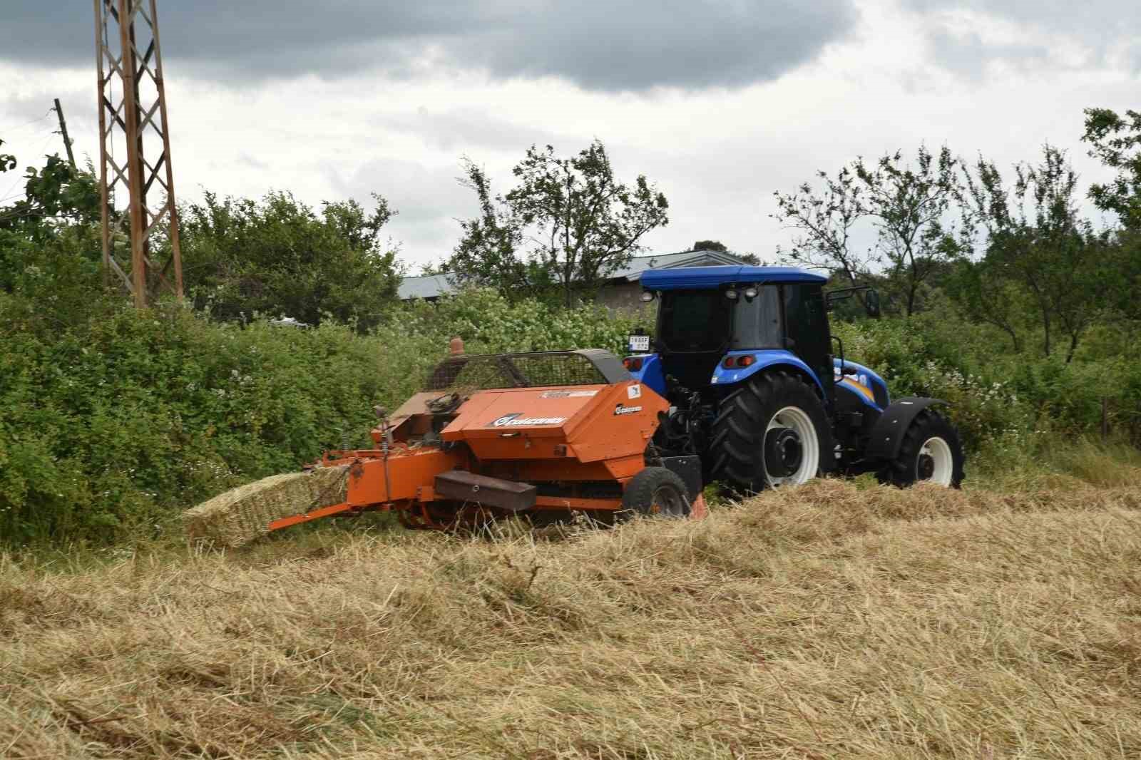 Atakum’da tarlalar altın rengine büründü
