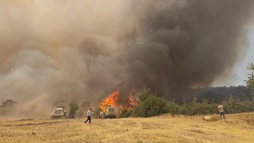 Denizli&rsquo;de &ccedil;ıkan orman yangını kontrol altına alındı
