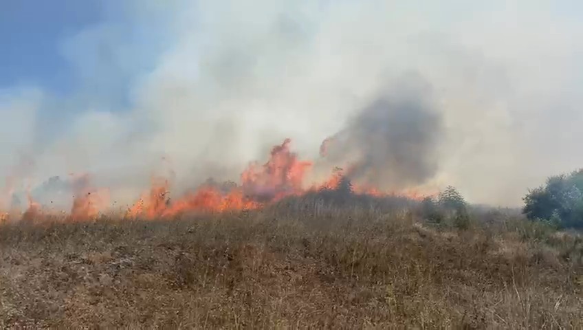 Sakarya Kaynarca’da makilik alanda yangın çıktı