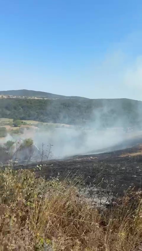 Sakarya Kaynarca&rsquo;da makilik alanda yangın &ccedil;ıktı
