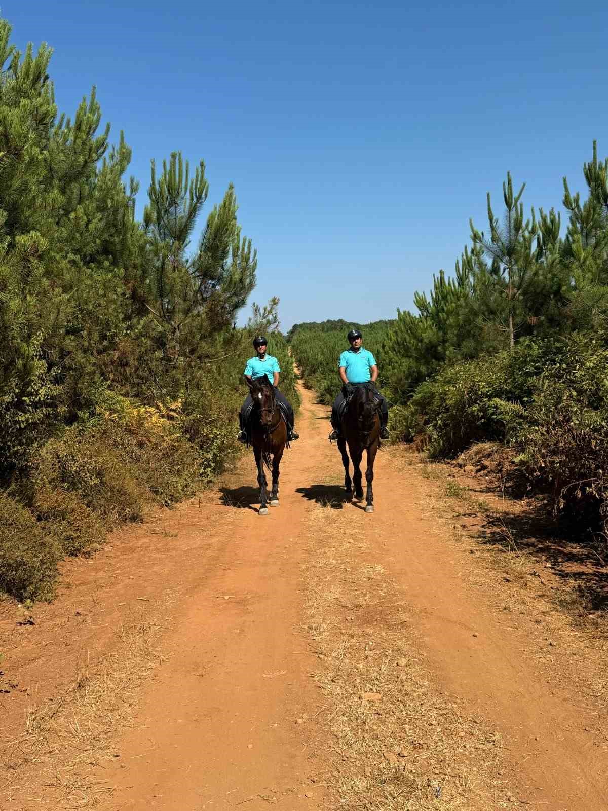 Atlı jandarma timleri orman yangınlarına ve boğulmalara karşı görevde
