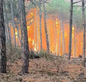 Ekiplerin yangının ortasında kaldığı anlara ait görüntüler ortaya çıktı