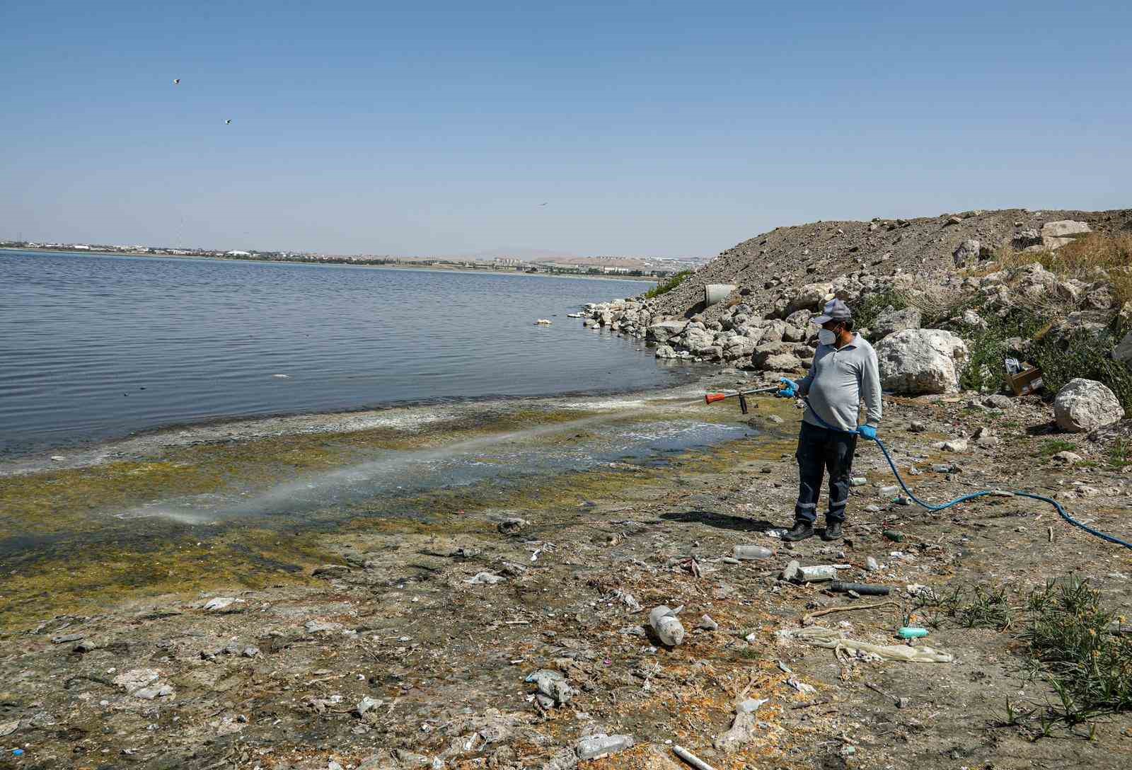 Van’da kent zararlılarına karşı ilaçlama çalışması