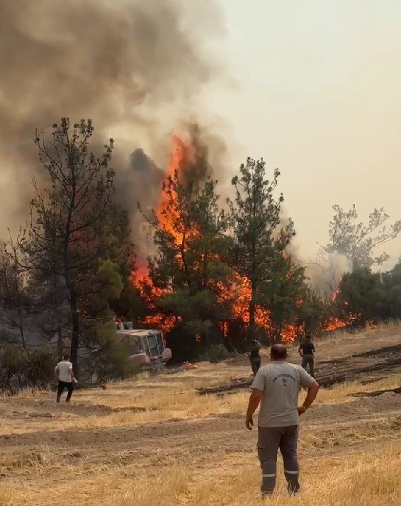 Çal’da çıkan orman yangını söndürüldü