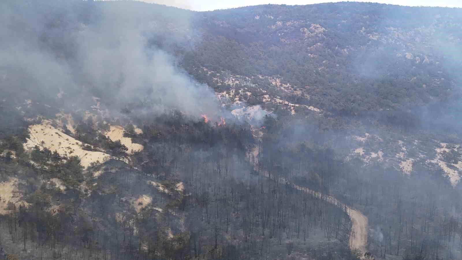 Seyitgazi’den Sarıcaova’ya sıçrayan yangın kısmen kontrol altında