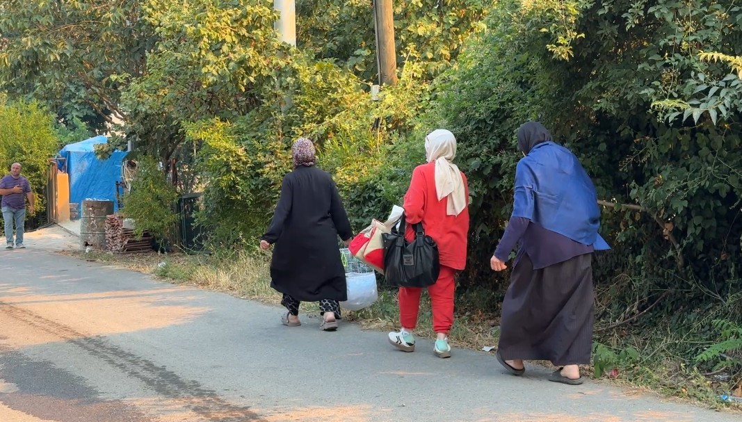 Alevlerden canını zor kurtaran kaplumbağaya yardım eli
