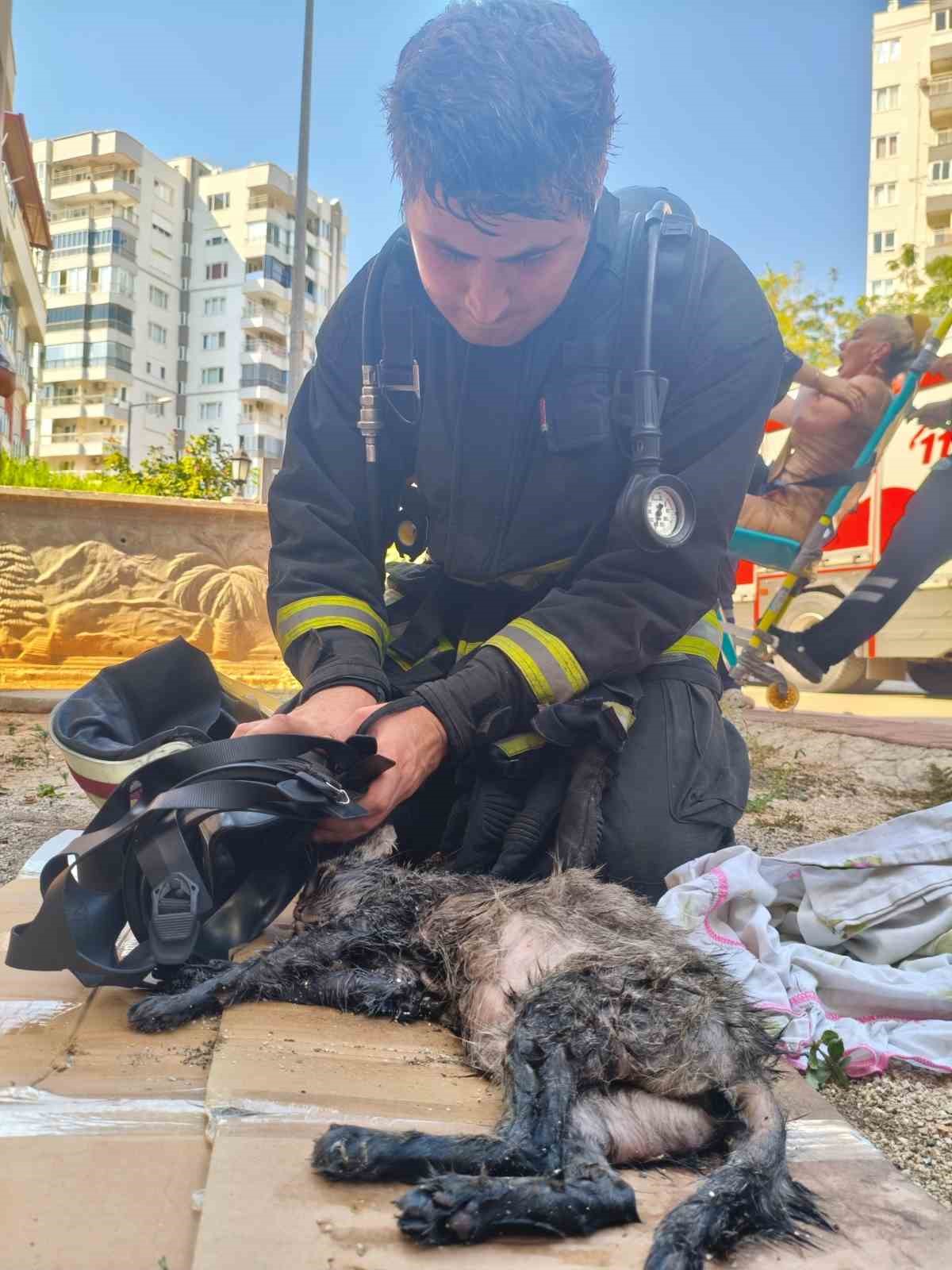 Yanan evini gören kadın baygınlık geçirdi, kedisi oksijen maskesiyle kurtarıldı