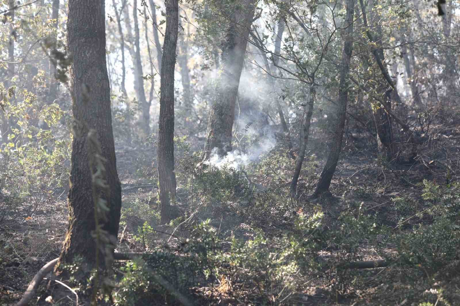Sakarya&rsquo;daki yangınlardan 2&rsquo;si kontrol altında, Geyve&rsquo;ye m&uuml;dahale s&uuml;r&uuml;yor
