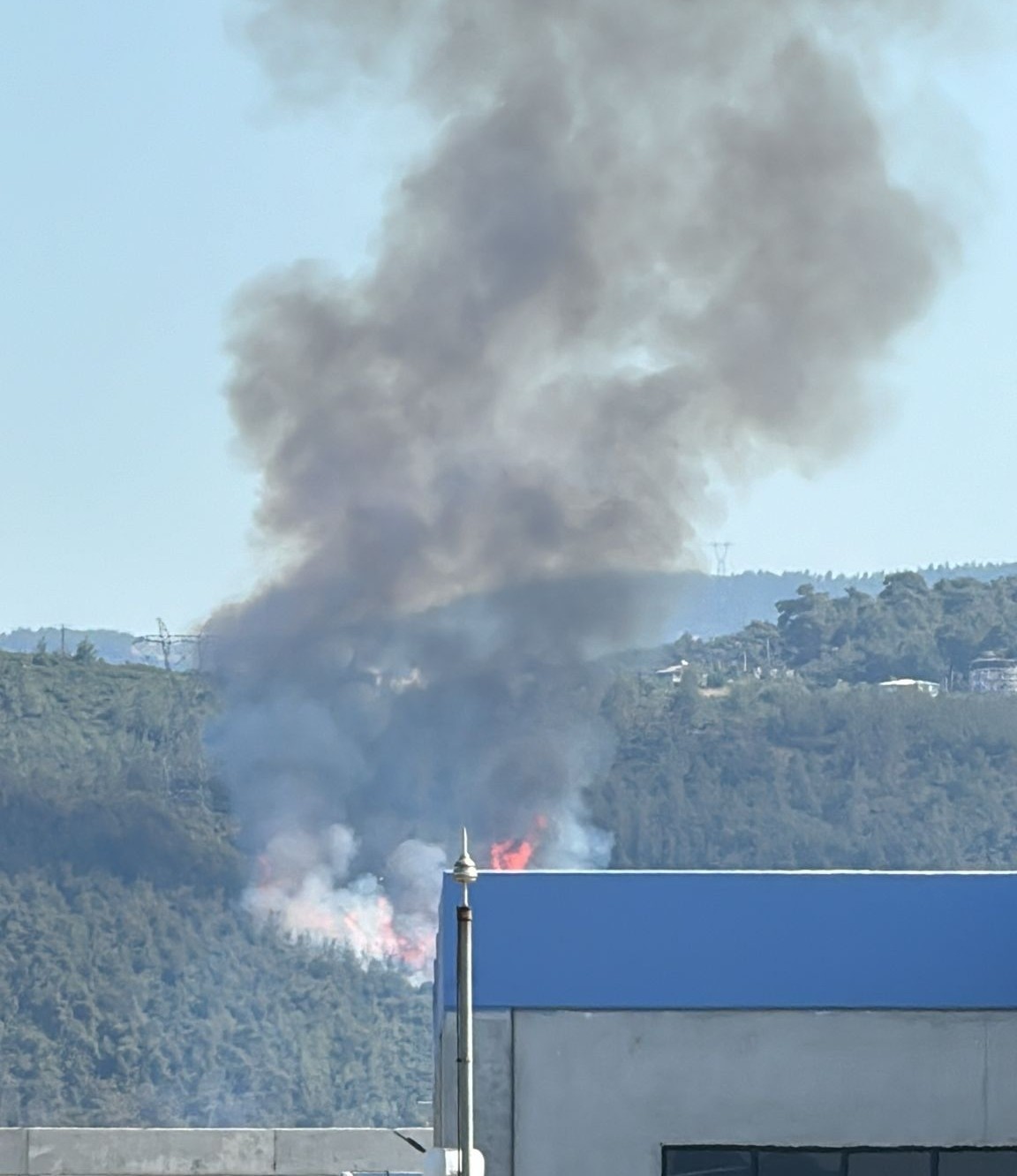 Manisa’da orman yangını