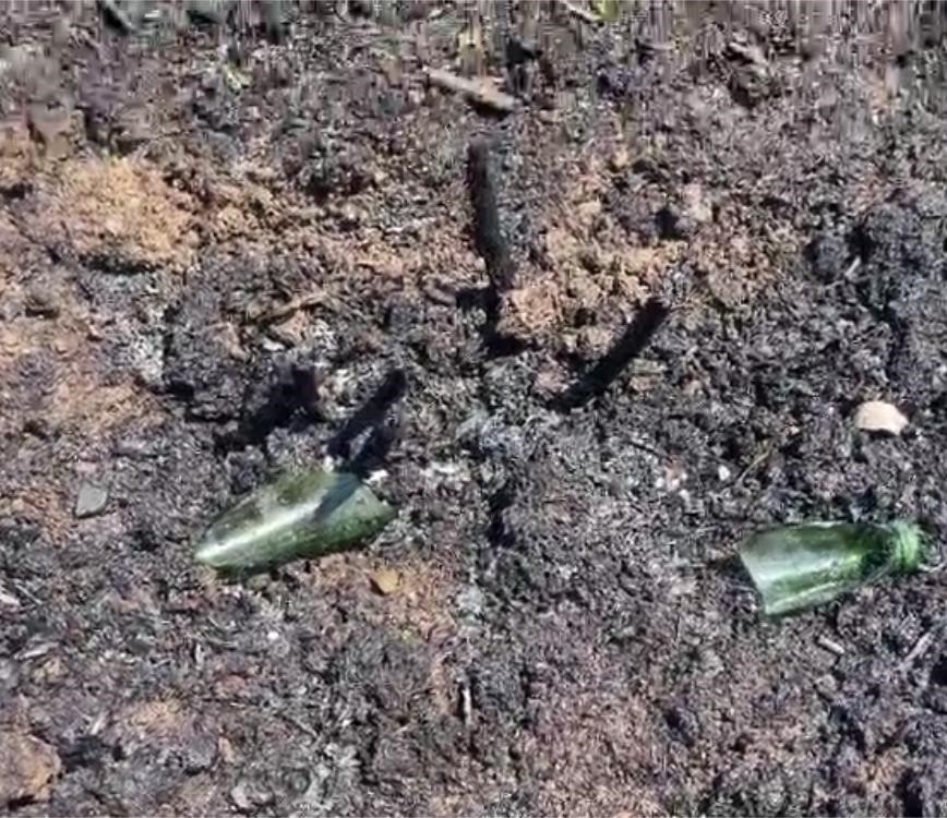 Bah&ccedil;eye atılan kırık şişe yangına neden oldu
