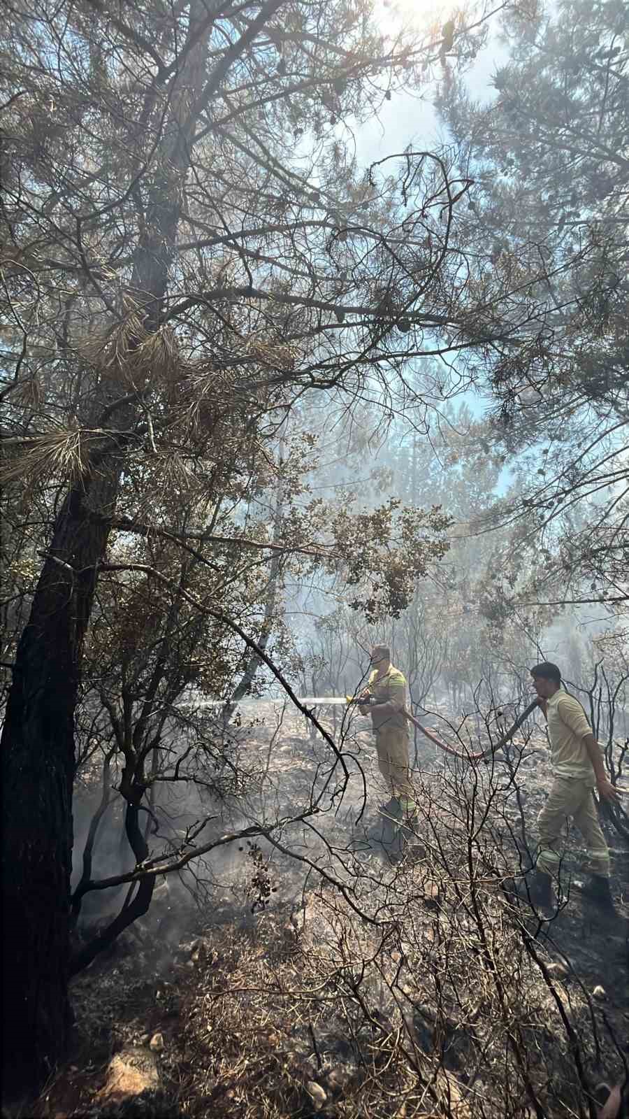 Antalya&rsquo;daki orman yangınında 2,8 hektarlık alan zarar g&ouml;rd&uuml;
