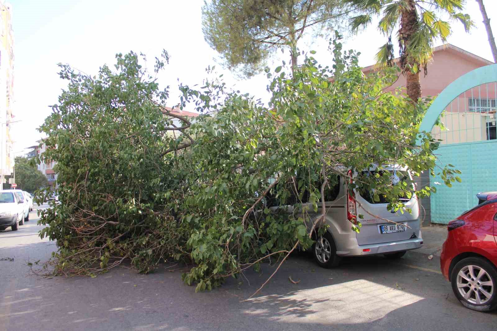 Park halindeki araca ağa&ccedil; devrildi
