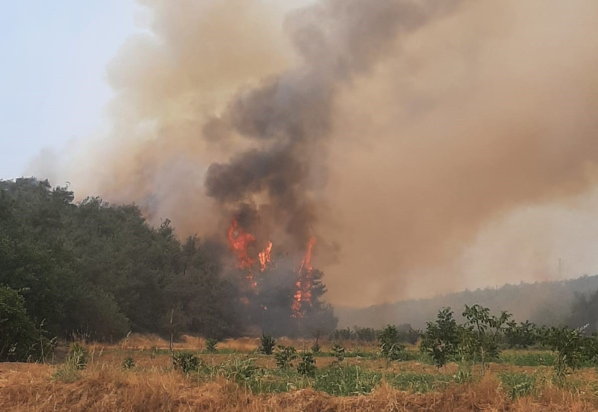 Bilecik&rsquo;teki orman yangını 7 k&ouml;y&uuml; etkisi altına aldı
