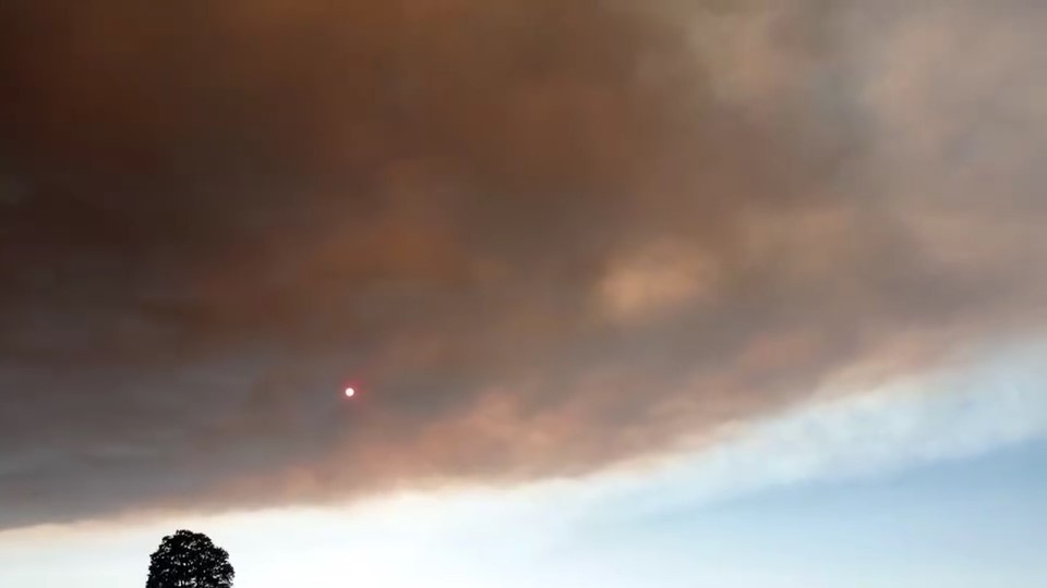 Bilecik’teki yangının dumanları Bursa’ya ulaştı