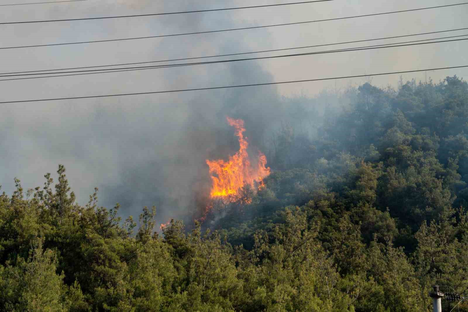 Manisa Valisi Özkan: "Yerleşim birimleri ve organize sanayi bölgesine yakın olan yangınla ilgili tüm tedbirleri aldık"