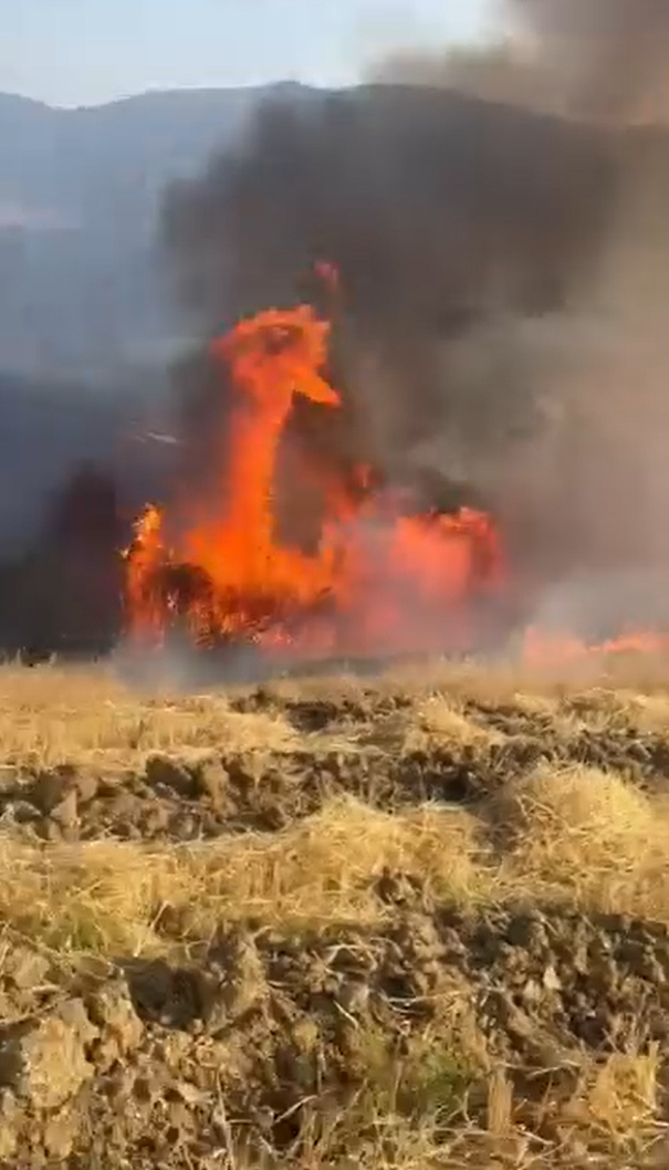 Yalova’da tarlada çıkan yangında yüzlerce saman balyası kül oldu