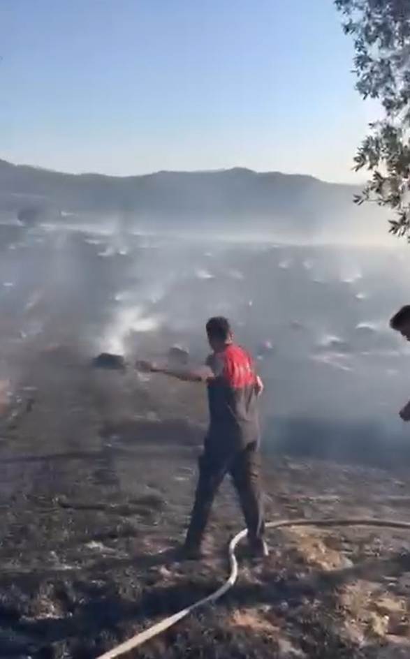 Yalova&rsquo;da tarlada &ccedil;ıkan yangında y&uuml;zlerce saman balyası k&uuml;l oldu

