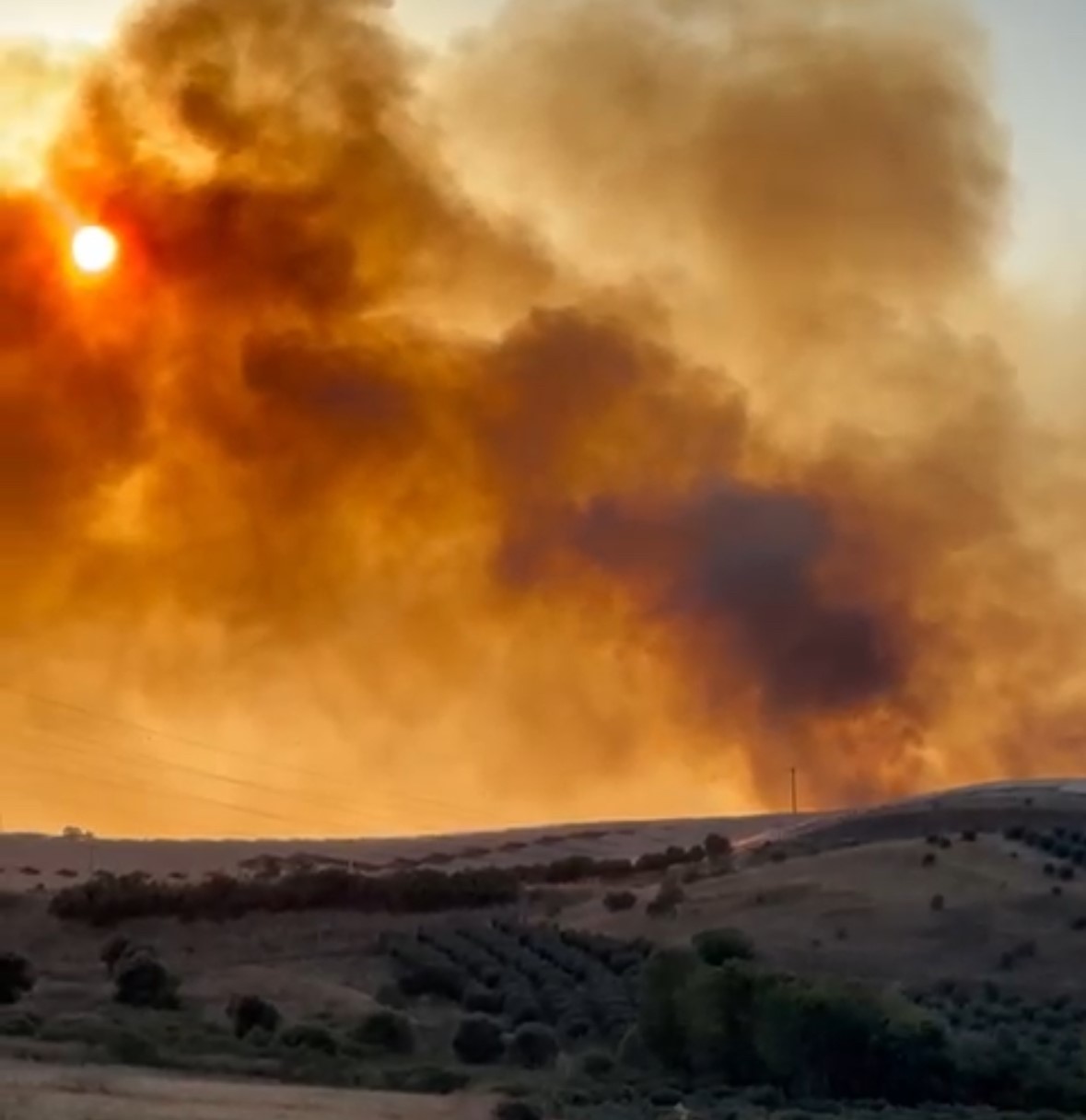 Balıkesir&rsquo;de &ccedil;ıkan yangına havadan ve karadan m&uuml;dahale ediliyor
