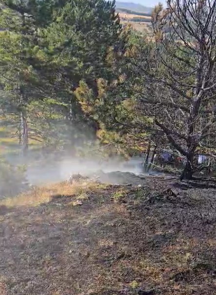 Kastamonu’da ormanlık alanda çıkan yangın büyümeden söndürüldü