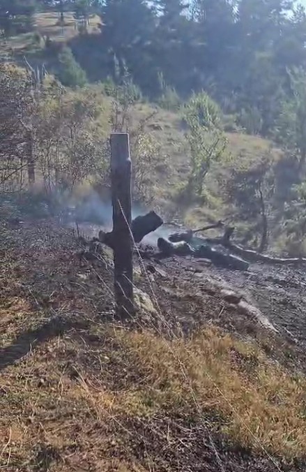 Kastamonu&rsquo;da ormanlık alanda &ccedil;ıkan yangın b&uuml;y&uuml;meden s&ouml;nd&uuml;r&uuml;ld&uuml;
