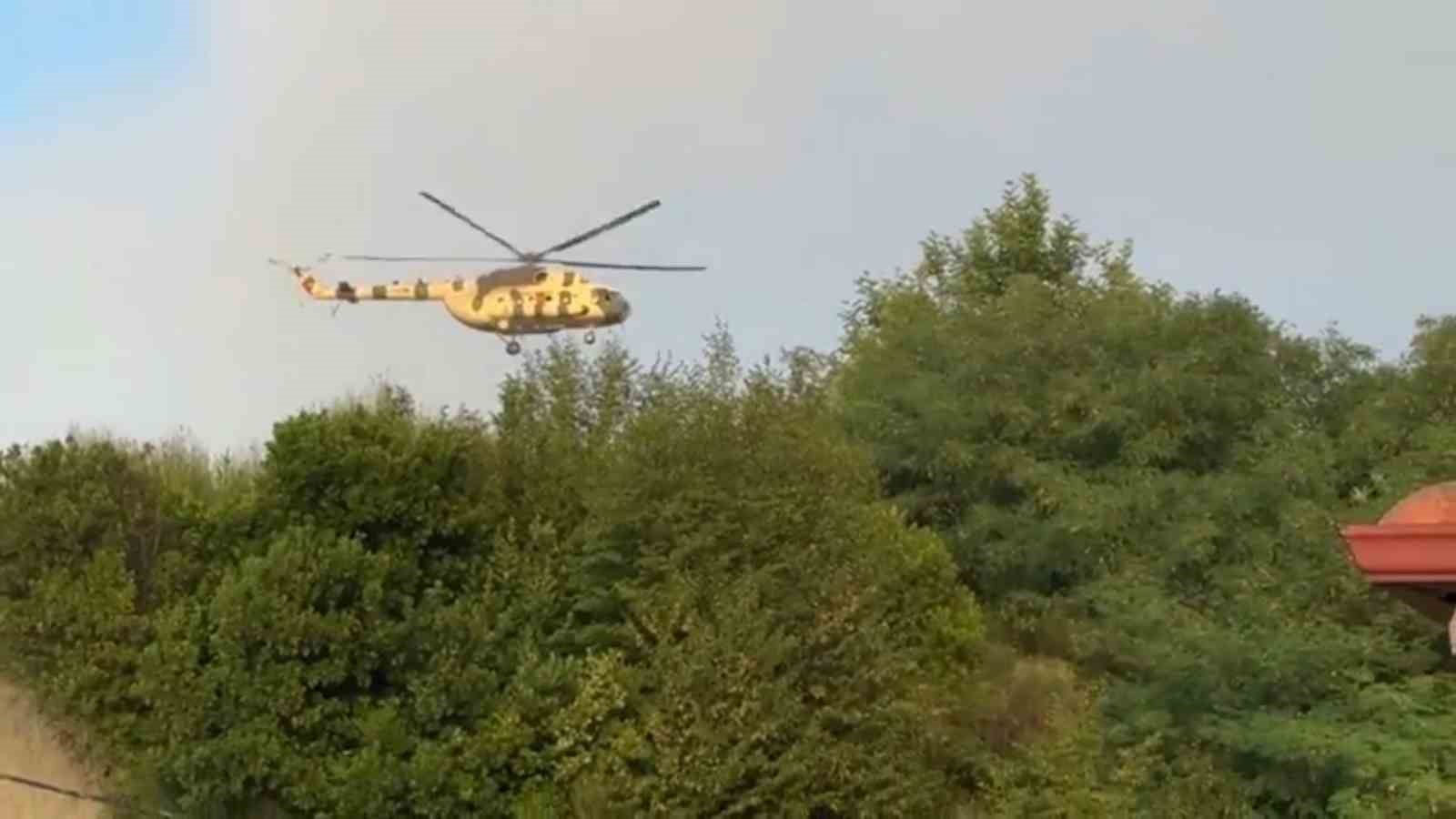 Aniden ortaya &ccedil;ıktı, korkulu anlara neden oldu
