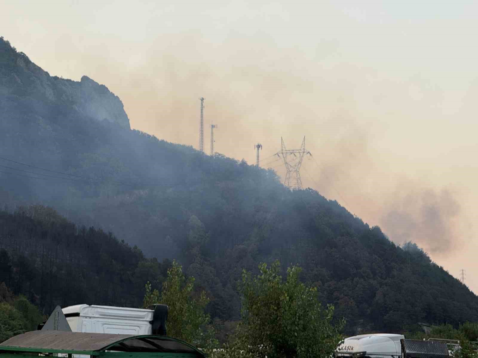 Sakarya’daki orman yangını kısmen kontrol altına alındı