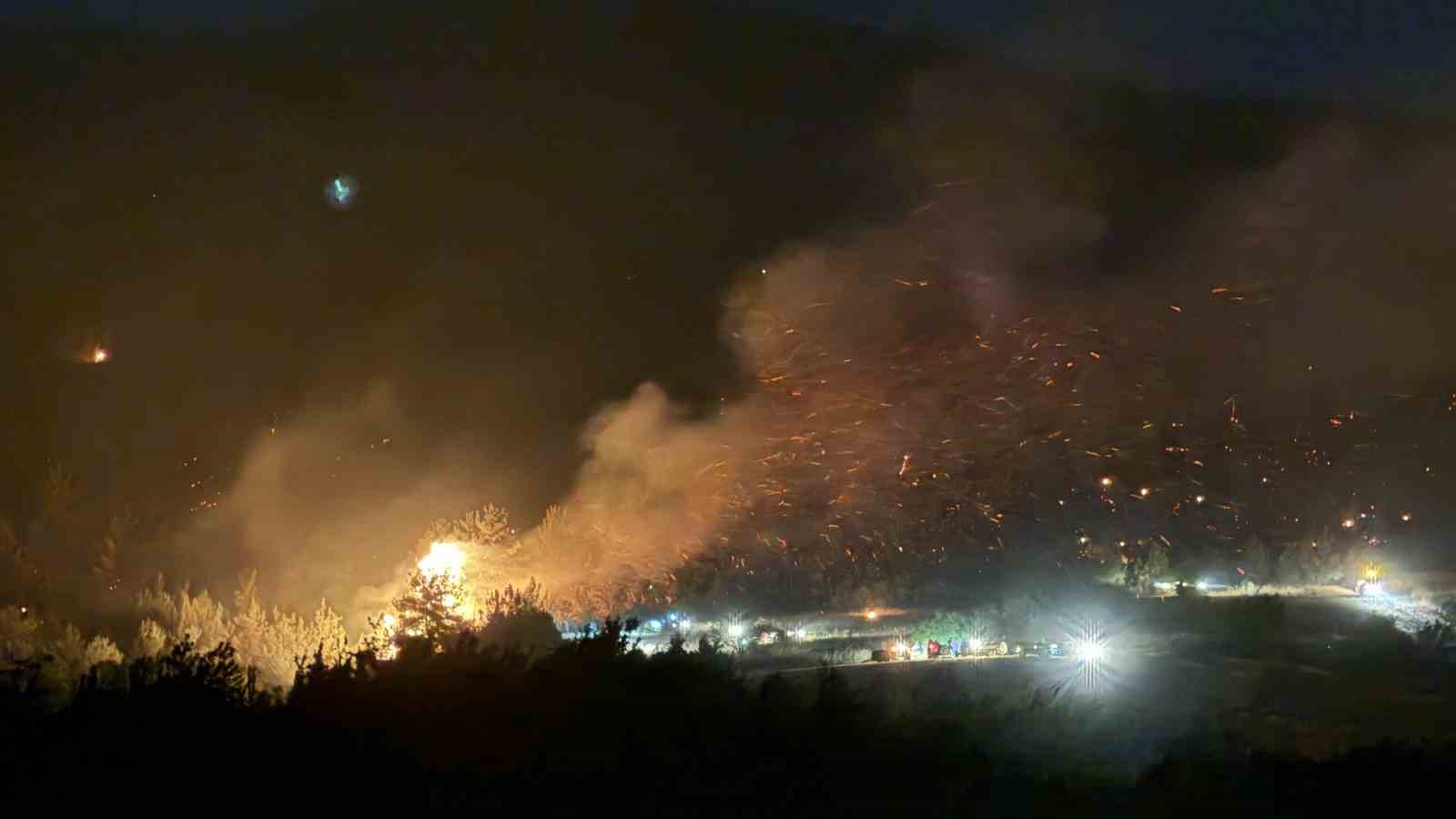 Sakarya-Bilecik sınırında alevler yeniden y&uuml;kseldi
