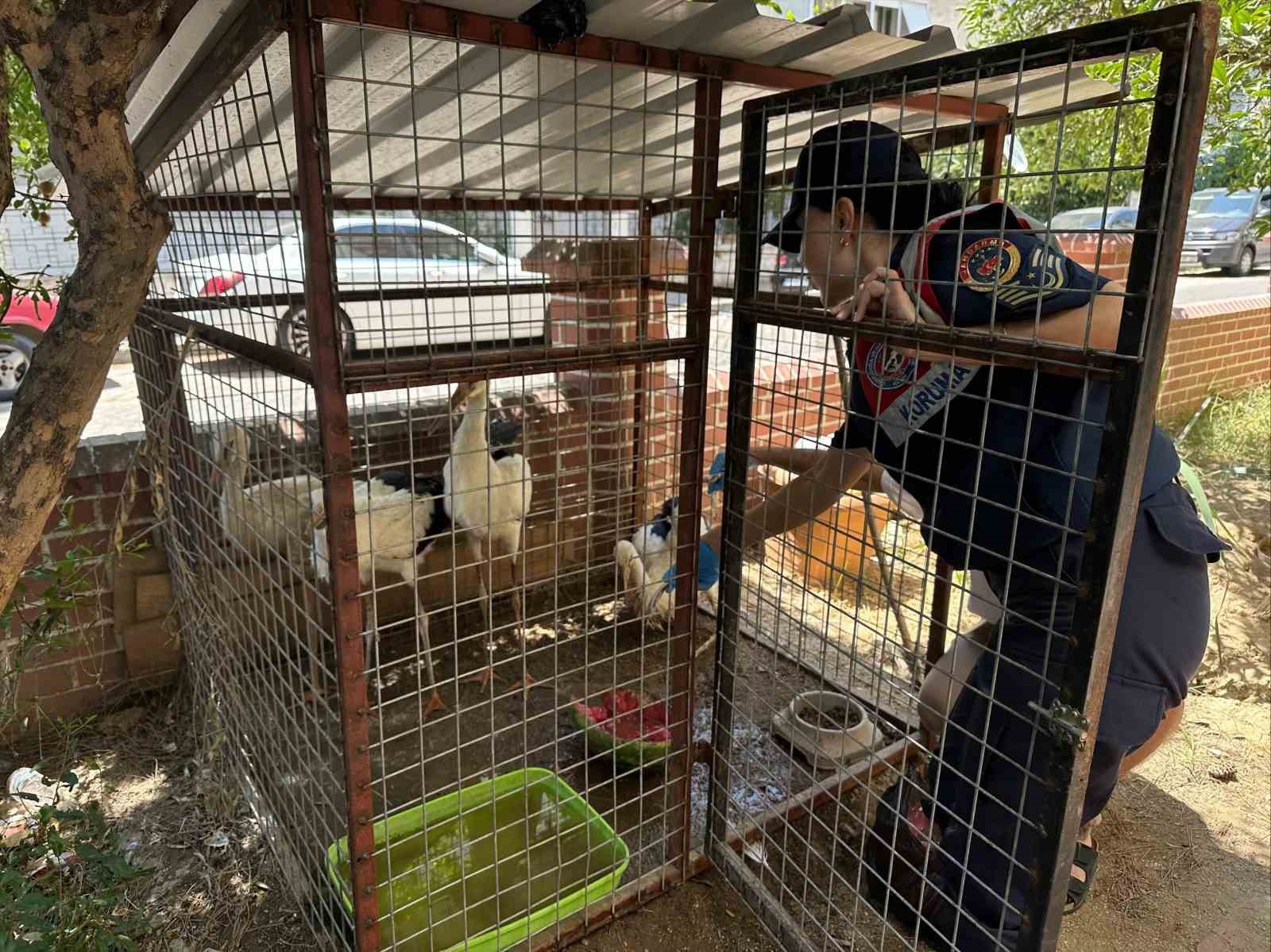 Jandarma yaralı leyleği veterinere ulaştırdı
