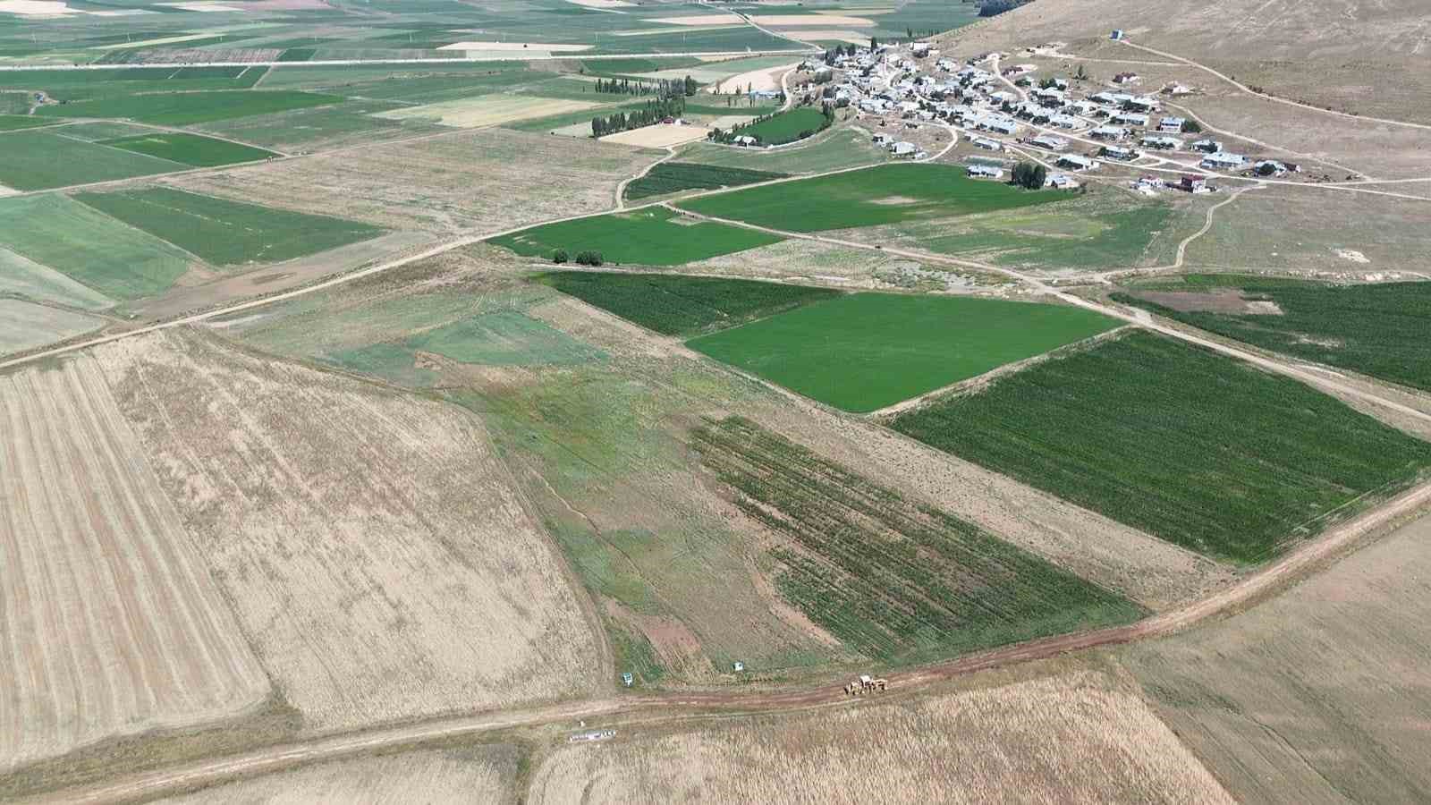 Demirözü’nde tarla içi yolların yapımına başlandı