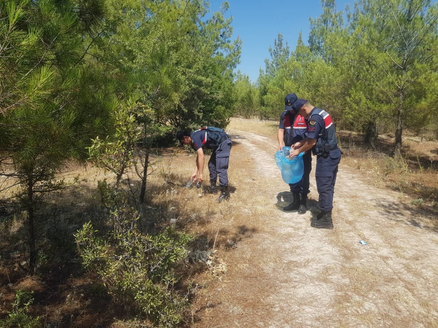 Ormanlık alanlara sıkı denetim