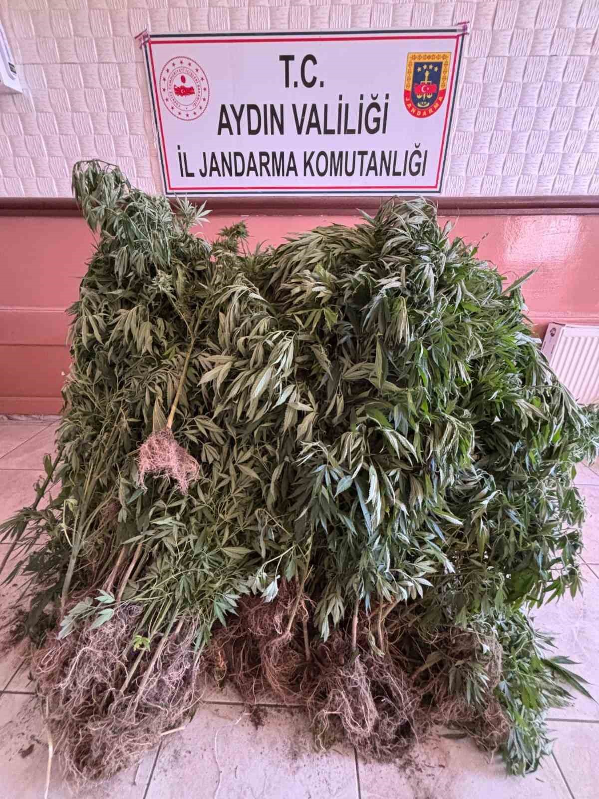 Aydın’da uyuşturucu tacirlerine operasyon